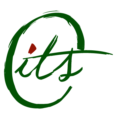 italiantastesolutions.com